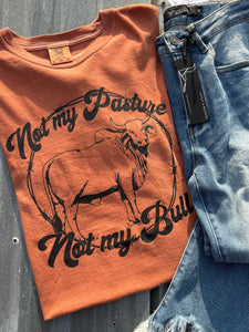 My Pasture